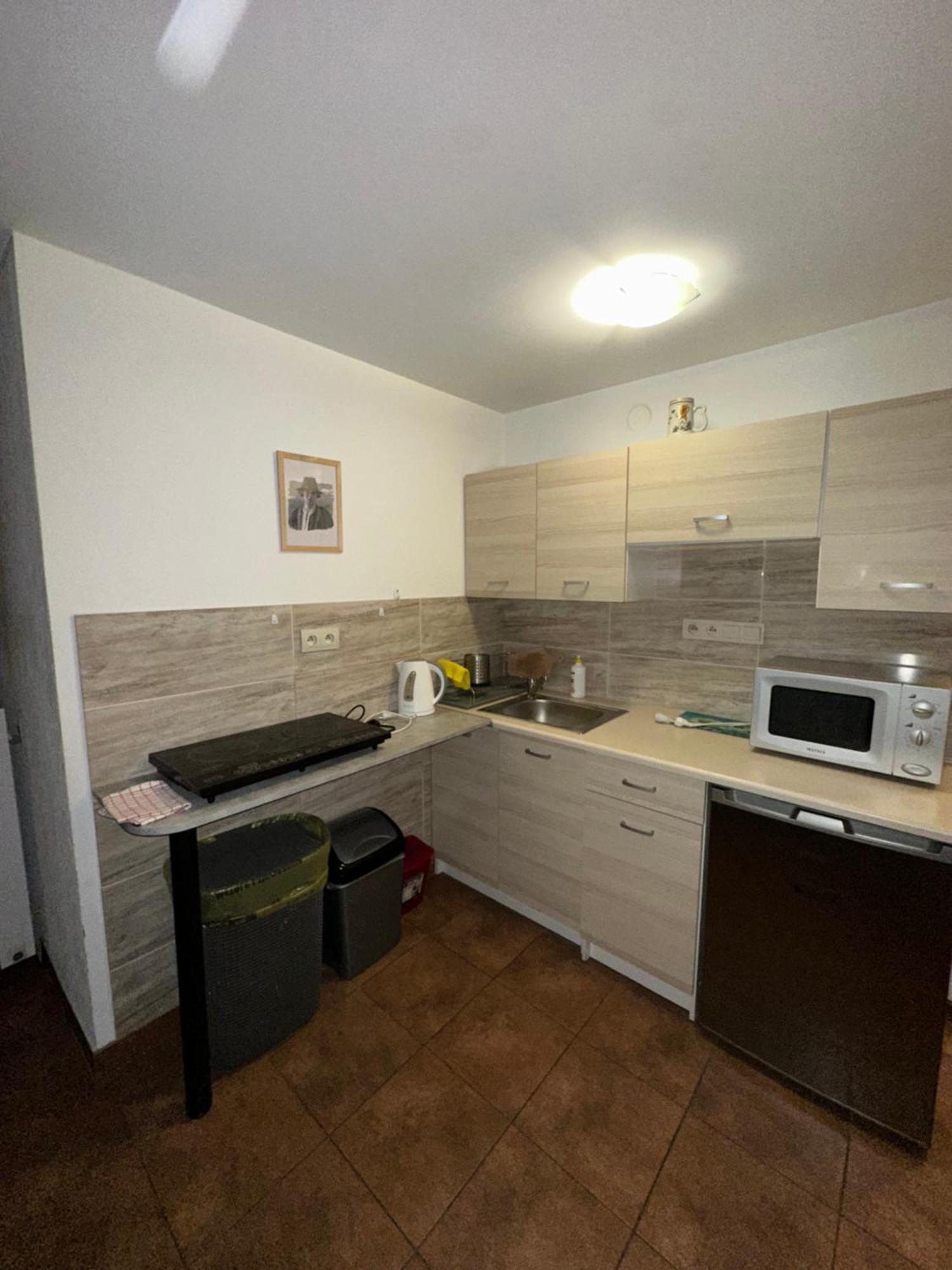 Willa Szus Koniaków Esterno foto